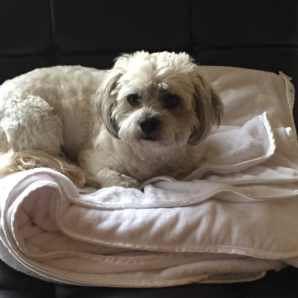 Meet your Posher, Anushi